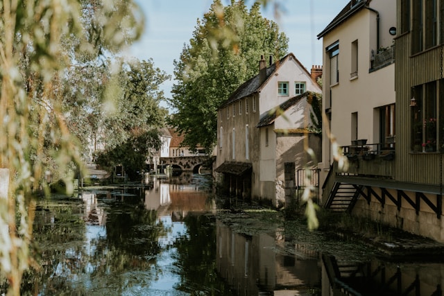 Alliances de mariage